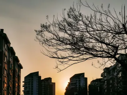 MegaReel Casino Mobile App